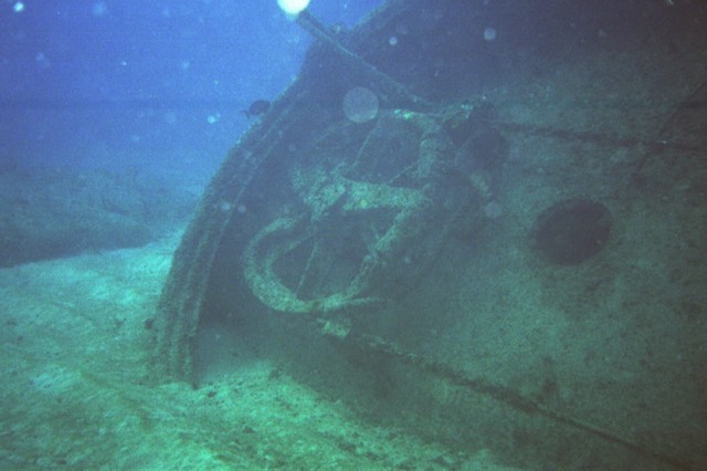 5945_00b.jpg