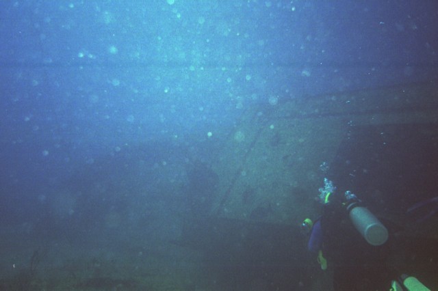 5945_00xa.jpg