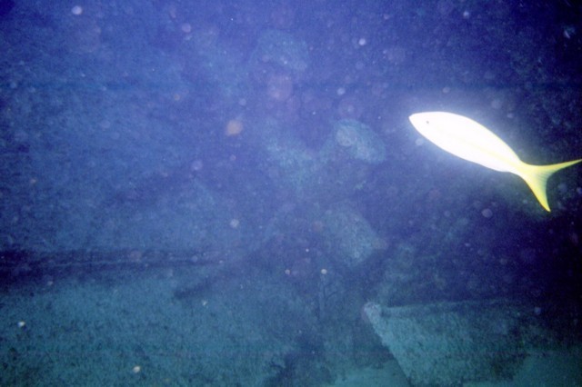 5945_04a.jpg
