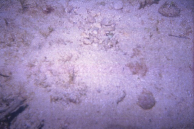 5945_05a.jpg