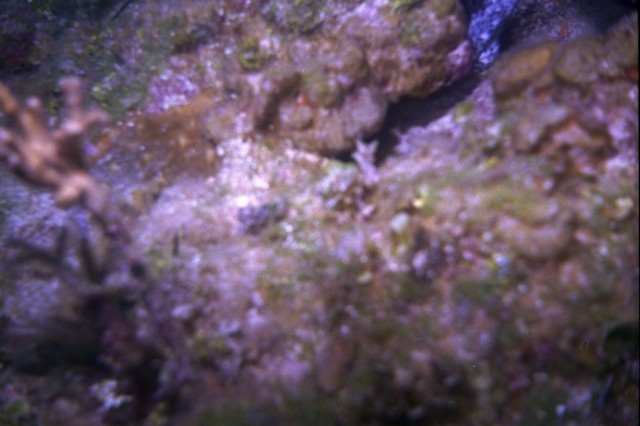 5945_10a.jpg