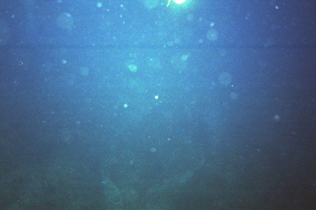 5945_11a.jpg