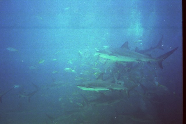 5945_24a.jpg