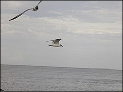 5900_02.jpg
