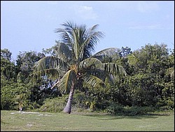 5900_19.jpg