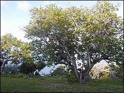 5900_22.jpg