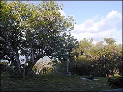 5900_23.jpg