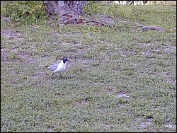 5900_26.jpg