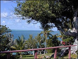 5900_29.jpg