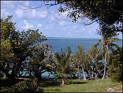 5900_30.jpg