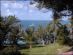 5900_31.jpg