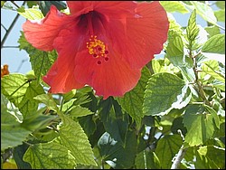 5900_34.jpg