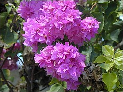 5900_36.jpg