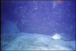 5938_01a.jpg