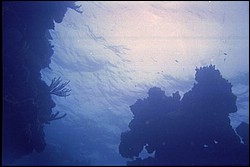 5938_04a.jpg