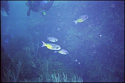 5938_06a.jpg