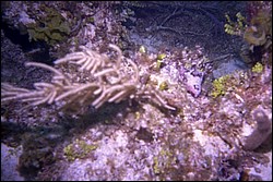 5938_10a.jpg