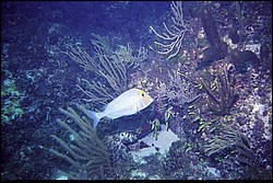 5938_17a.jpg