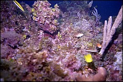 5938_19a.jpg