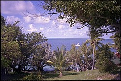 5938_20a.jpg