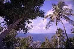 5938_23a.jpg
