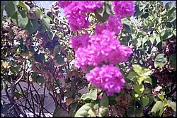 5938_24a.jpg