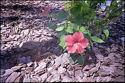 5938_26a.jpg