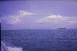 5939_08a.jpg