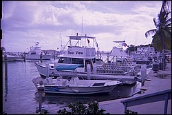 5939_16a.jpg