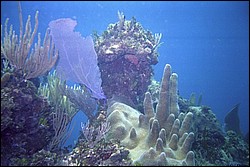 5940_06.jpg