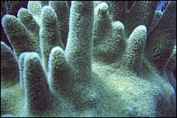 5940_07.jpg