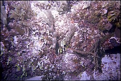 5940_09.jpg