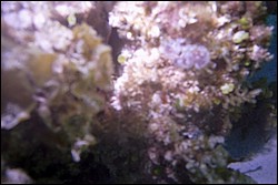 5940_10.jpg