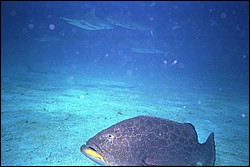 5940_14.jpg
