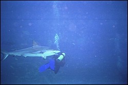 5940_16.jpg