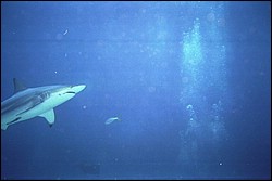 5940_17.jpg
