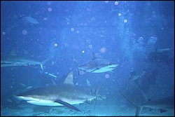 5940_18.jpg