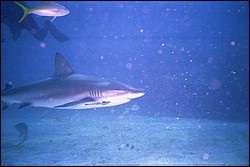 5940_20.jpg