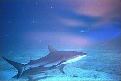 5940_25.jpg