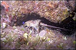 5941_00.jpg