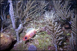 5941_01.jpg