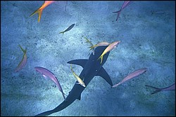 5941_02.jpg