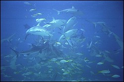 5941_05.jpg