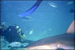 5941_12.jpg
