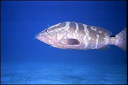 5941_13.jpg