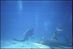 5941_14.jpg
