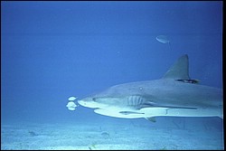 5941_15.jpg