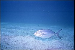 5941_18.jpg