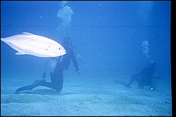 5941_25.jpg
