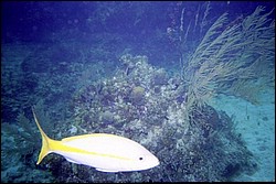 5942_01a.jpg